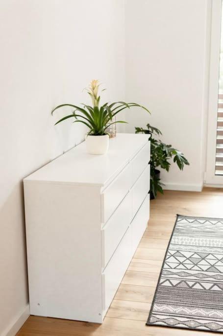 Aura Apartments Zirovnica Zewnętrze zdjęcie