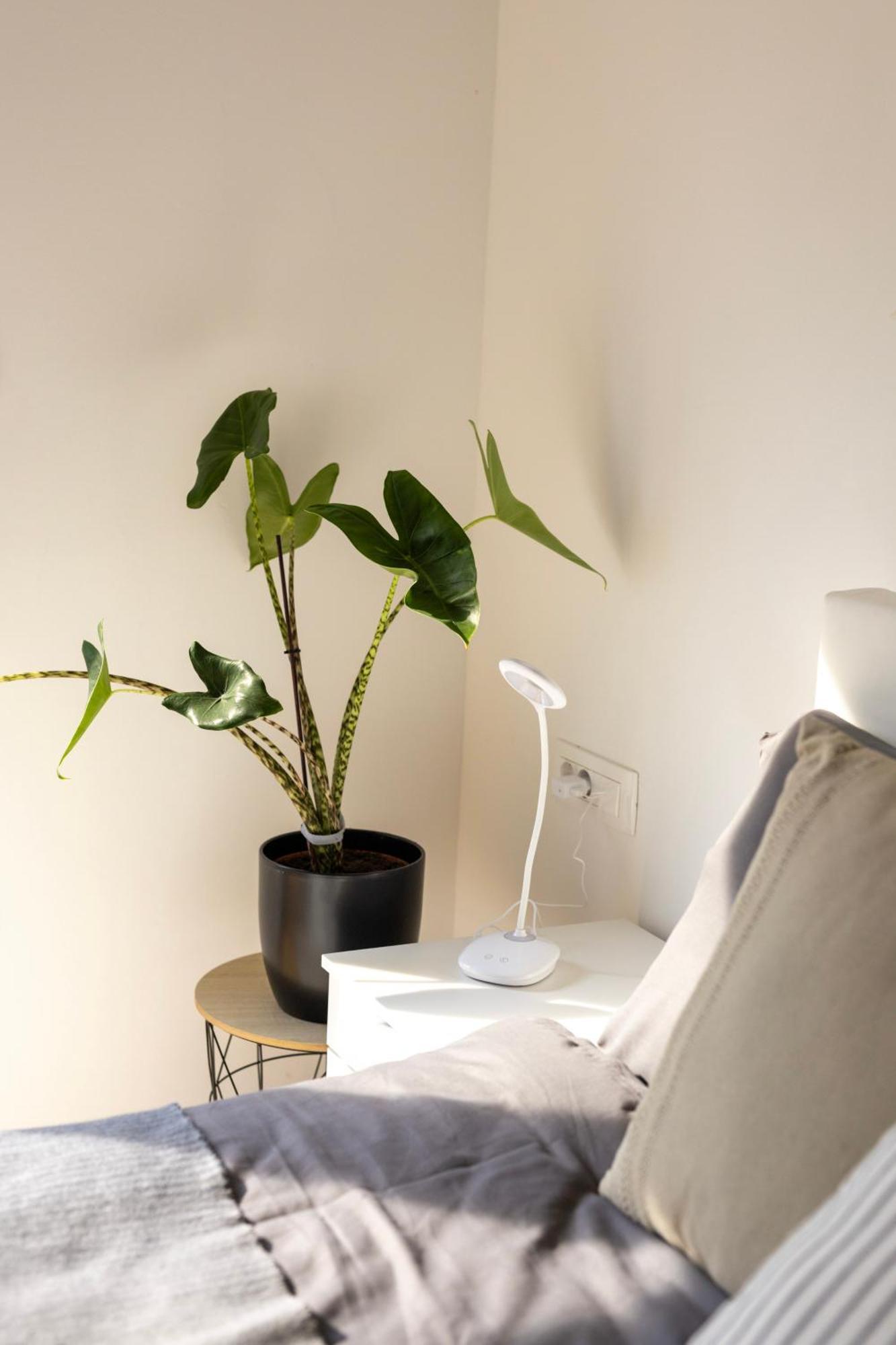 Aura Apartments Zirovnica Zewnętrze zdjęcie